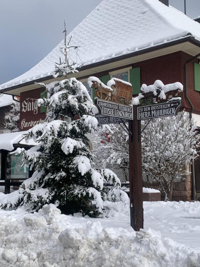 Fewo Fuchs Saig Lenzkirch Exterior foto