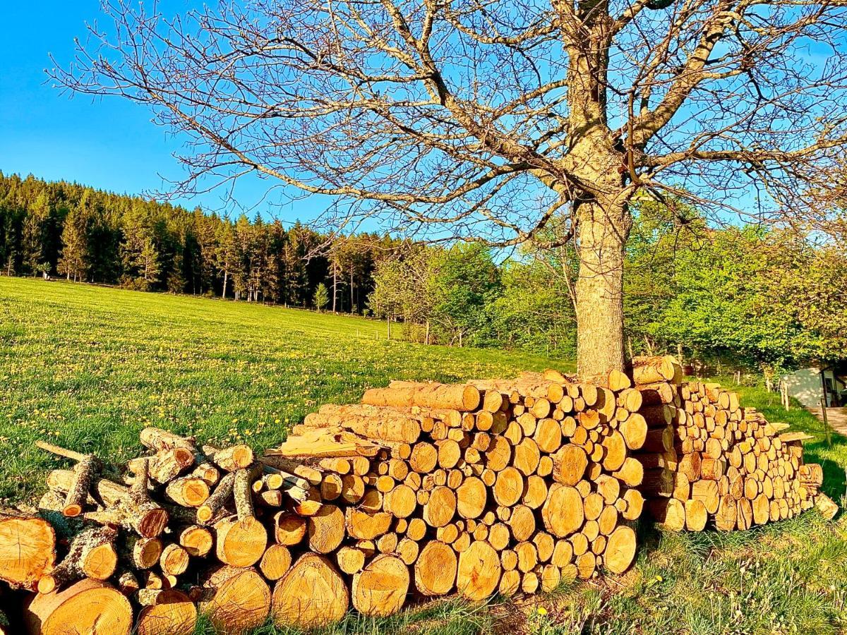 Fewo Fuchs Saig Lenzkirch Exterior foto