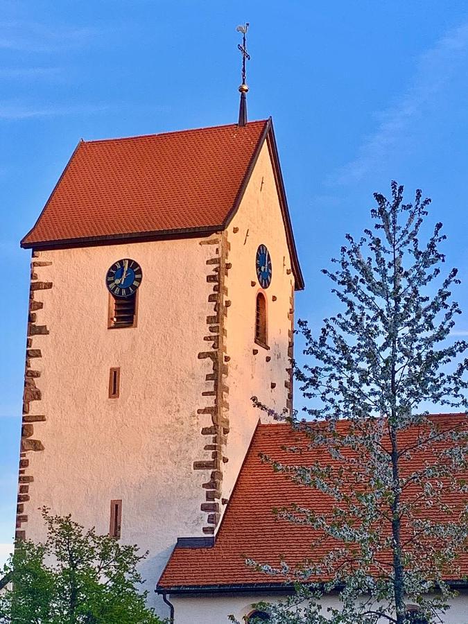 Fewo Fuchs Saig Lenzkirch Exterior foto